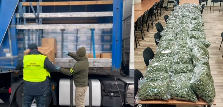 Udaremniono przemyt prawie 40 kg marihuany z Hiszpanii. Zatrzyano dwie osoby