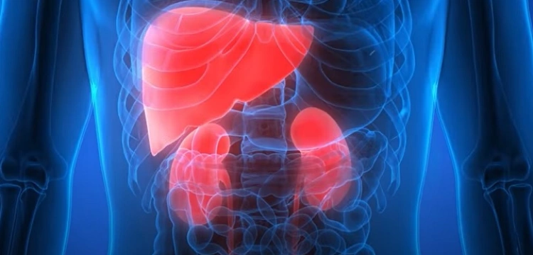 Wada genetyczna enzymu powoduje wykrytą chorobę nerek i wątroby