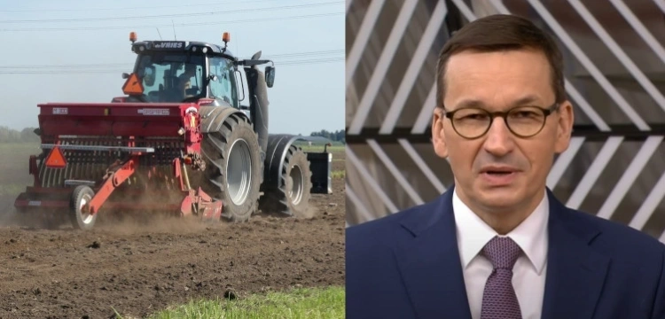 Muller: Rząd rozszerzy pomoc rolnikom wz. z wojną na Ukrainie