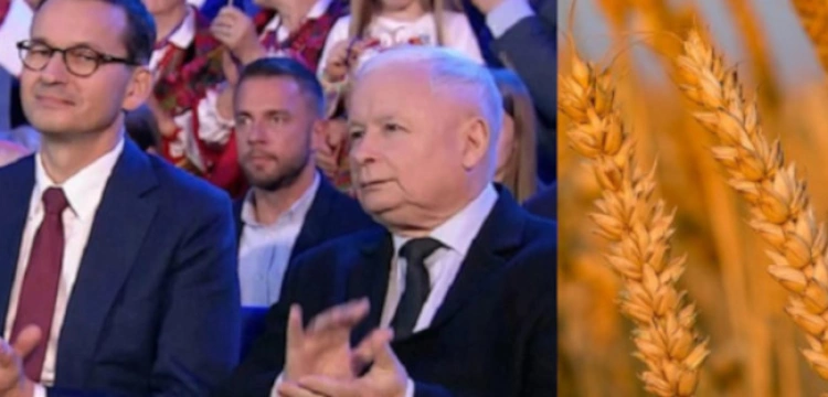 Polska liderem eksportu produktów rolnych