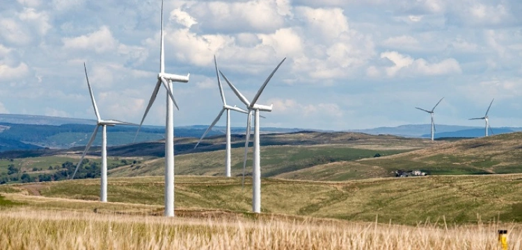 Nieoczekiwane zmiany dla rynku zielonej energii. Co dalej z OZE?