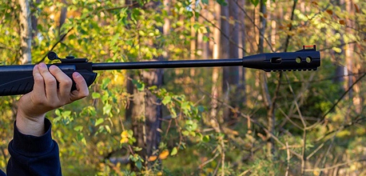 Cela plus! Strzelił z wiatrówki do sąsiada, bo… za głośno kosił trawę