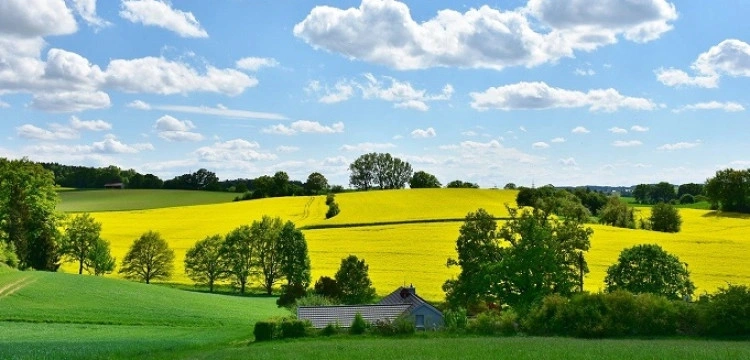 Szykuje się bardzo ciepła końcówka marca. Nawet 25 st. w Wielkanoc