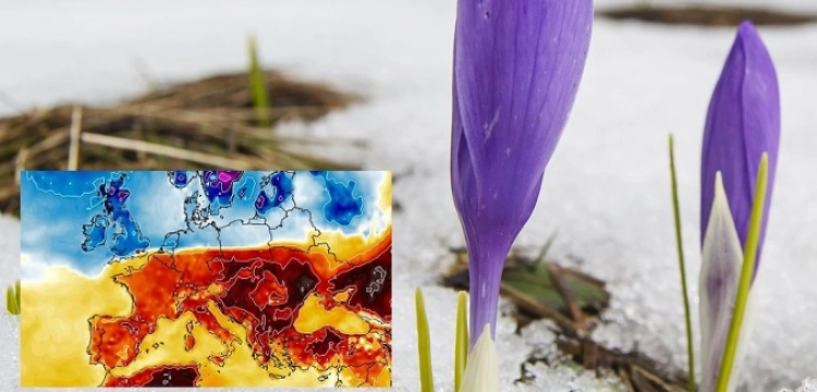 Wreszcie wiosna. Synoptycy nie mają wątpliwości