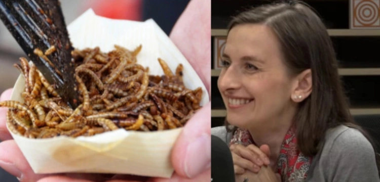 Spurek: 100 proc. weganizacja. Wszyscy mamy żreć robaki