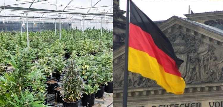 Wkrótce Niemcy będą ćpać legalnie