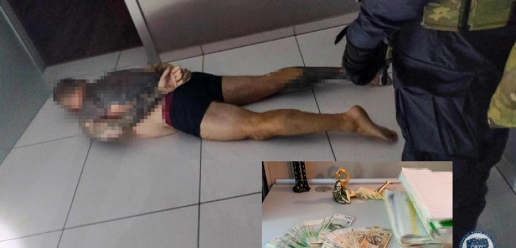 Cela plus! Rozbito grupę przestępczą wyłudzającą kredyty przez Internet