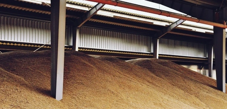 Polscy rolnicy wystawieni do wiatru. Rada UE przedłużyła zawieszenie ceł w handlu z Ukrainą o kolejny rok