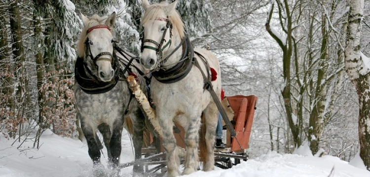 Uwaga! Już w środę nawet 20-25 stopni mrozu