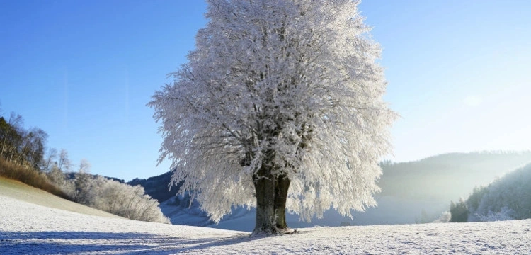 Czeka nas atak zimy. Nawet minus 15 stopni