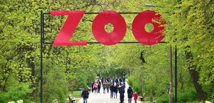 Siano z Niemiec w warszawskim zoo? Trzaskowski: czy nie powinniśmy się cieszyć?