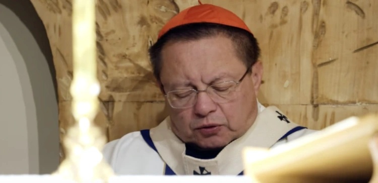 Kard. Ryś pod lupą. Czego brakuje w jego przekazie