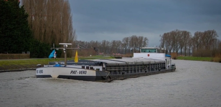 Kompletna aberracja! Czarzasty odgrzewa projekt „Osobowości prawnej dla Odry”